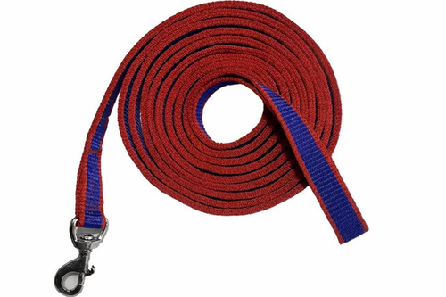 Soft Nylon Dog Training Lead 10 Ft Long Leash Red